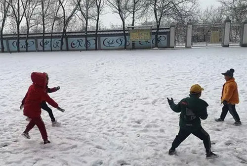 ��ѩ��