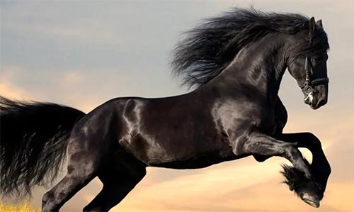 ���ڿ������������600��