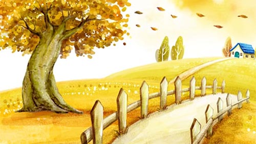 �ҡ����ᡤ��