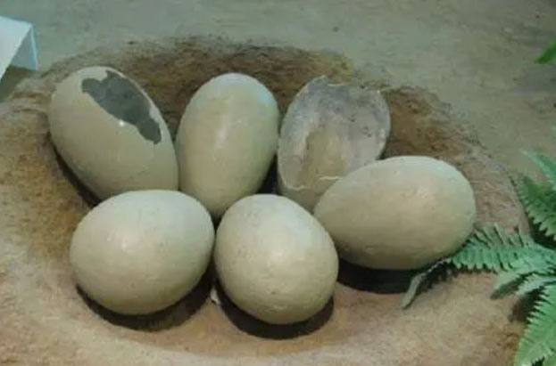 ���Ϸ�������