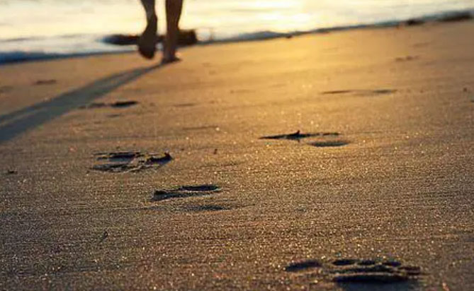 ��Щ����Щ��