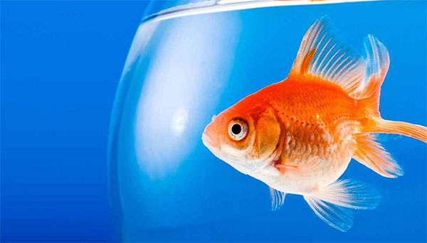 ��˵��ļ���ֻ��7��