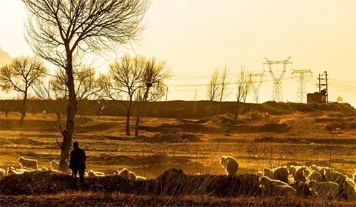 ��ƽ�������硷�����800�ֳ�һ