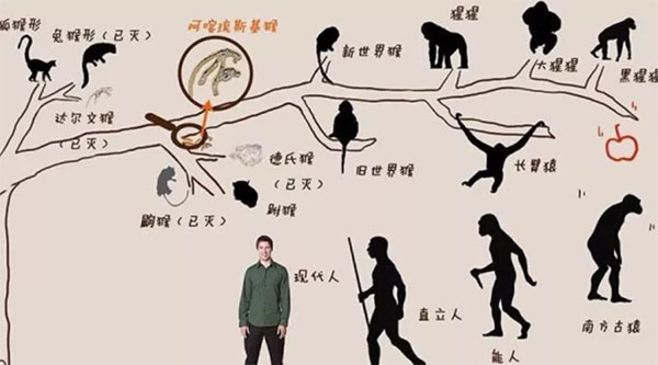 ��������Դ���ݻ����̡������600��