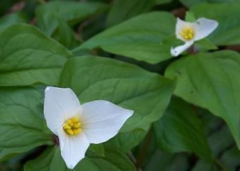 ��ɽ����ˮ������