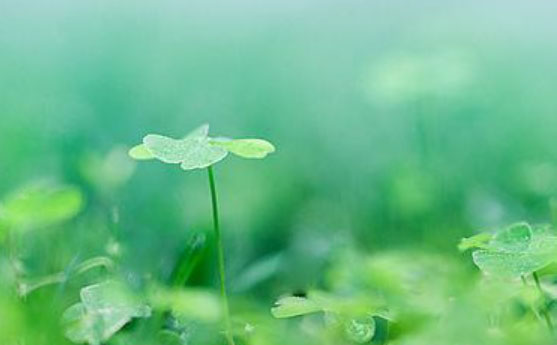 �׽���Ȼ������