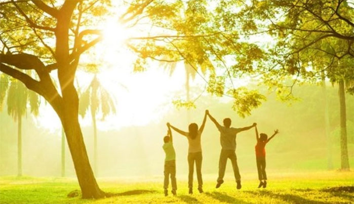 ÿ�ռ�����������