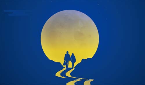 ��ֵ�����