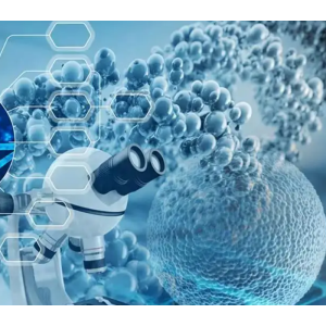 NaI(Tl)/LaBr3(ce)探测器模组