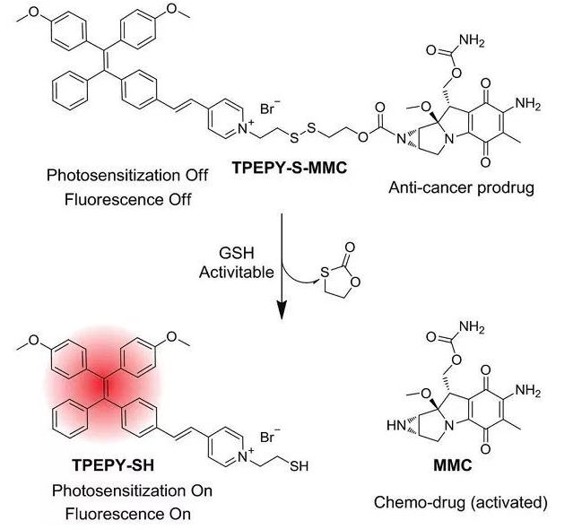 TPEPY-S-MMC的化学结构，以及药物和光动力学机理