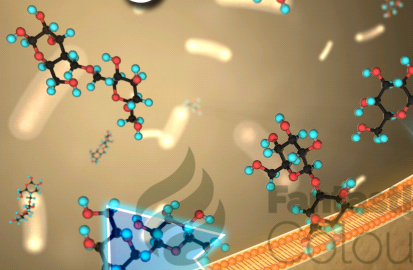 绿色荧光FITC标记甘草酸 Glycyrrhizic Acid， FITC-甘草酸