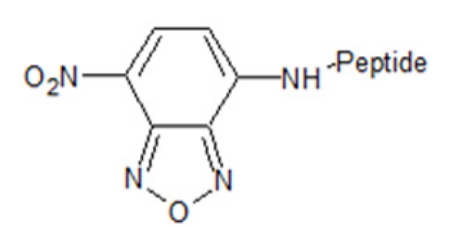 NBD修饰多肽 NBD修饰多肽
