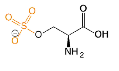 磺酸化丝氨酸，O-Sulfo-L-serine，Ser(SO3H2)