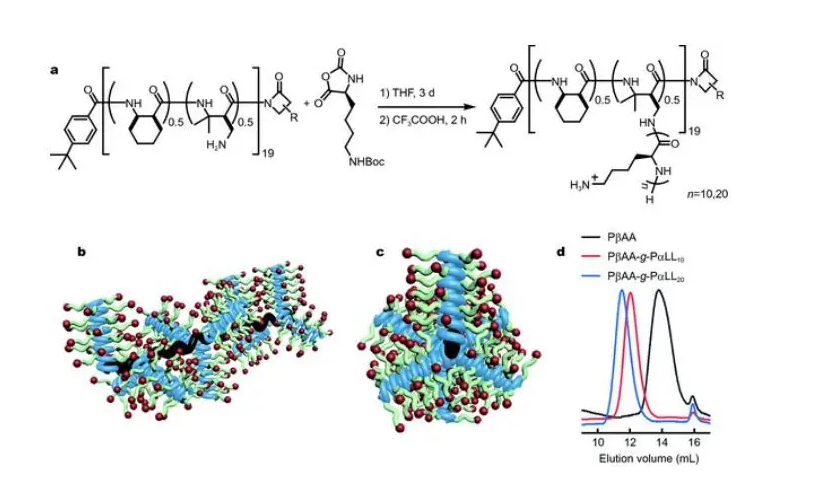 多肽的定制合成 多肽的定制合成