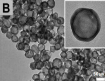 中空金纳米壳 中空金纳米壳