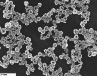 柠檬酸钠修饰的金纳米笼 柠檬酸钠修饰的金纳米笼