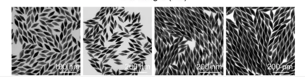 金纳米双锥 金纳米双锥