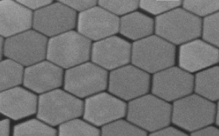 金纳米六角板 金纳米六角板