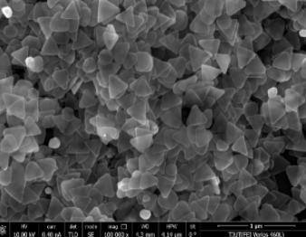 银纳米三角片银纳米片 银纳米三角片银纳米片