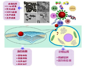油溶性球形金纳米颗粒 油溶性球形金纳米颗粒
