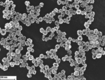 柠檬酸钠修饰的金纳米笼 柠檬酸钠修饰的金纳米笼