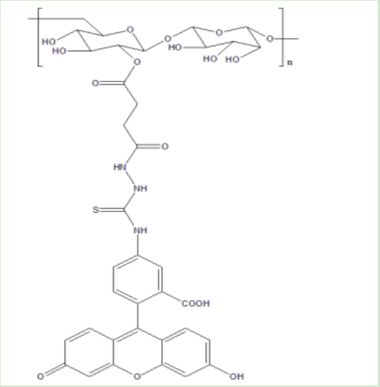 葡聚糖-环糊精 葡聚糖-环糊精