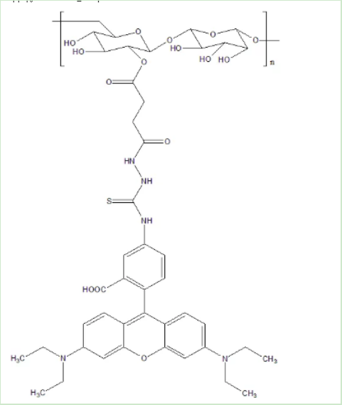 葡聚糖-罗丹明B 葡聚糖-罗丹明B