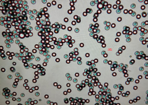 蓝色荧光微球 蓝色荧光微球