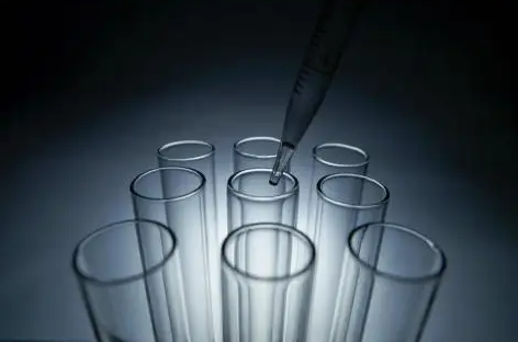 HayeSep 多孔聚合物色谱担体 HayeSep R