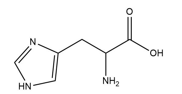 葡聚糖-组氨酸 葡聚糖-组氨酸