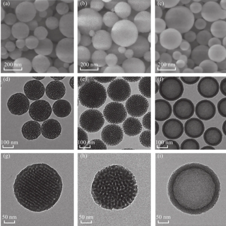 氨基端PEG化Fe3O4颗粒;DSPE-PEG@Fe3O4（-NH2）;10nm