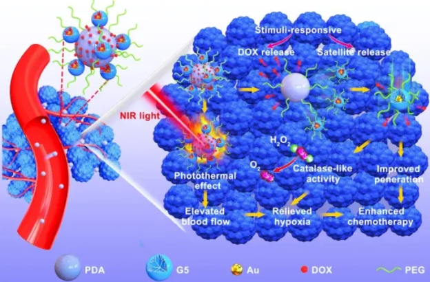 FA-TK-NH2；叶酸-TK-氨基