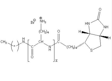 Poly(L-lysine hydrobromide) Biotin Poly(L-lysine hydrobromide) Biotin