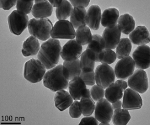 羧基表面Fe3O4颗粒;DMSA@USPIO