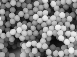 PEG化Fe3O4颗粒;PEG@USPIO；10nm