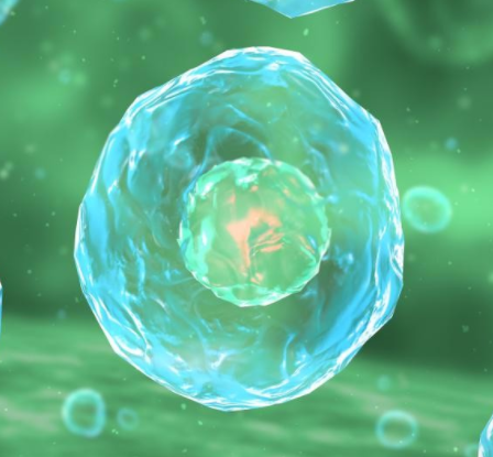 光敏药物e6纳米囊泡 光敏药物e6纳米囊泡