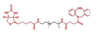 正交化学试剂DBCO(二苯并环辛炔)的多种定制产物 正交化学试剂DBCO(二苯并环辛炔)的多种定制产物