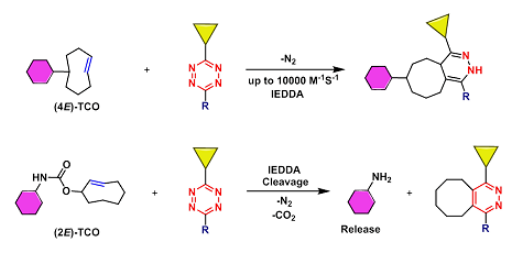 BCN-PEG-Rhodamine B  环丙烷环辛炔聚乙二醇罗丹明B