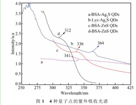 BSA-Ag2SQDs BSA-Ag2SQDs