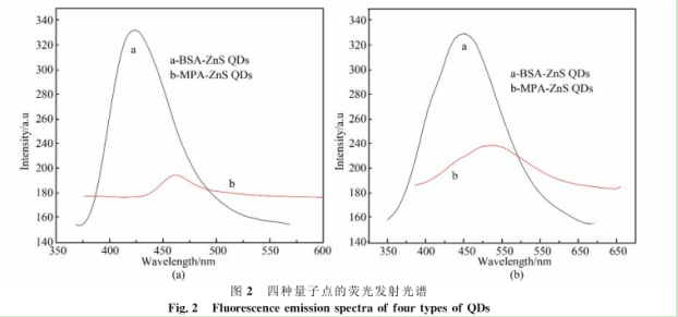 巯基丙酸包裹ZnS量子点 巯基丙酸包裹ZnS量子点