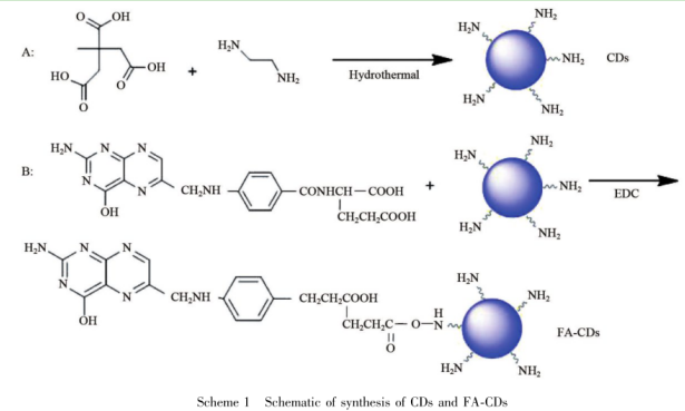 叶酸共价修饰碳量子点(FA-CDs) 叶酸共价修饰碳量子点(FA-CDs)