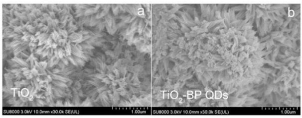 二氧化钛/黑磷量子点复合材料 二氧化钛/黑磷量子点复合材料