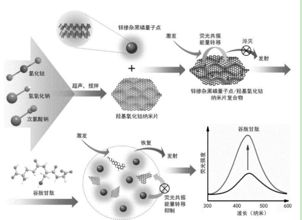 锌掺杂黑磷量子点 锌掺杂黑磷量子点