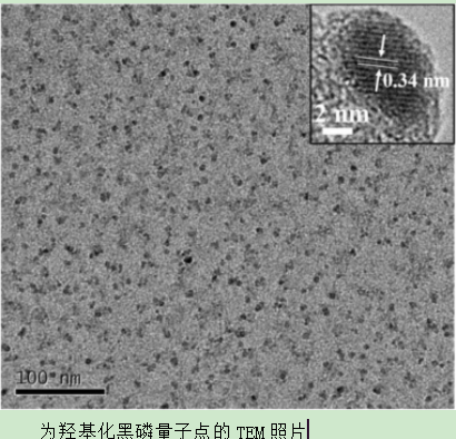 羟基化黑磷量子点(BPQDs) 羟基化黑磷量子点(BPQDs)