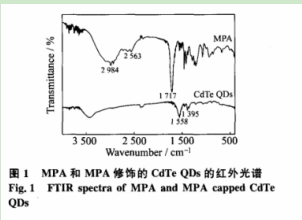 3-巯基丙酸修饰碲化镉量子点 3-巯基丙酸修饰碲化镉量子点