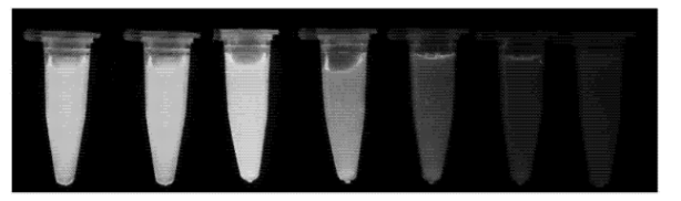 L-半胱氨酸修饰CdTe/CdS量子点 L-半胱氨酸修饰CdTe/CdS量子点