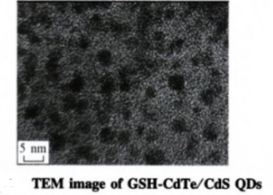 谷胱甘肽修饰CdTe/CdS量子点 谷胱甘肽修饰CdTe/CdS量子点
