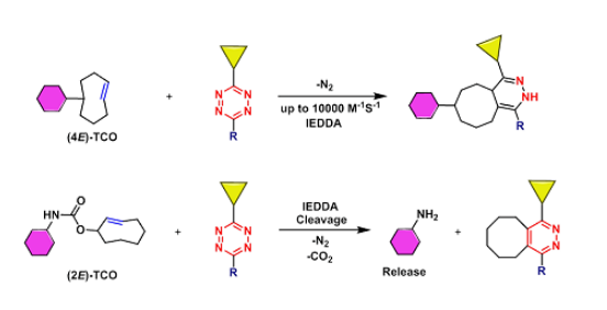 N-(2E)-TCO-L-lysine N-(2E)-TCO-L-lysine