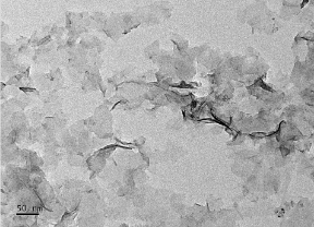 MnO2 nanosheet MnO2 nanosheet