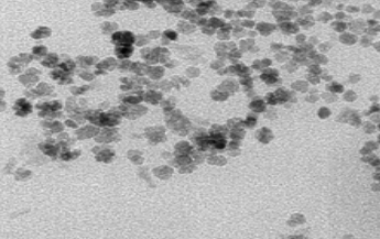 羧基化葡聚糖修饰四氧化三铁纳米颗粒 羧基化葡聚糖修饰四氧化三铁纳米颗粒